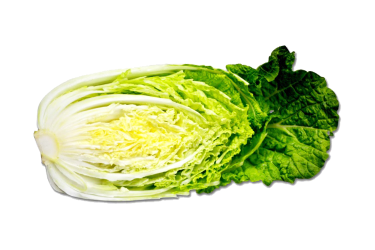 LONG CABBAGE HALF